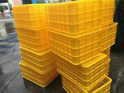 20號(hào)塑料制品 聚丙烯（PP）的廣泛應(yīng)用與環(huán)保挑戰(zhàn)